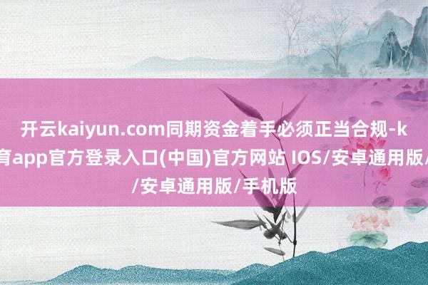 开云kaiyun.com同期资金着手必须正当合规-kai云体育app官方登录入口(中国)官方网站 IOS/安卓通用版/手机版