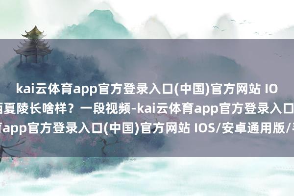 kai云体育app官方登录入口(中国)官方网站 IOS/安卓通用版/手机版西夏陵长啥样？一段视频-kai云体育app官方登录入口(中国)官方网站 IOS/安卓通用版/手机版