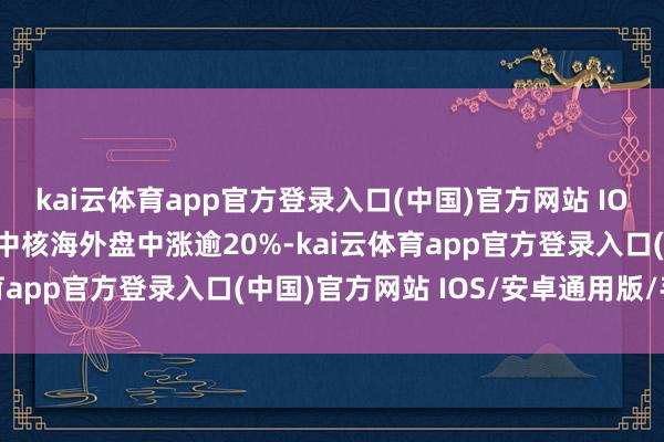 kai云体育app官方登录入口(中国)官方网站 IOS/安卓通用版/手机版中核海外盘中涨逾20%-kai云体育app官方登录入口(中国)官方网站 IOS/安卓通用版/手机版