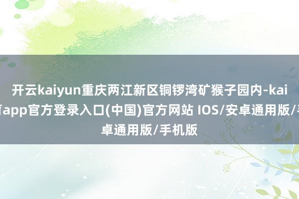 开云kaiyun重庆两江新区铜锣湾矿猴子园内-kai云体育app官方登录入口(中国)官方网站 IOS/安卓通用版/手机版